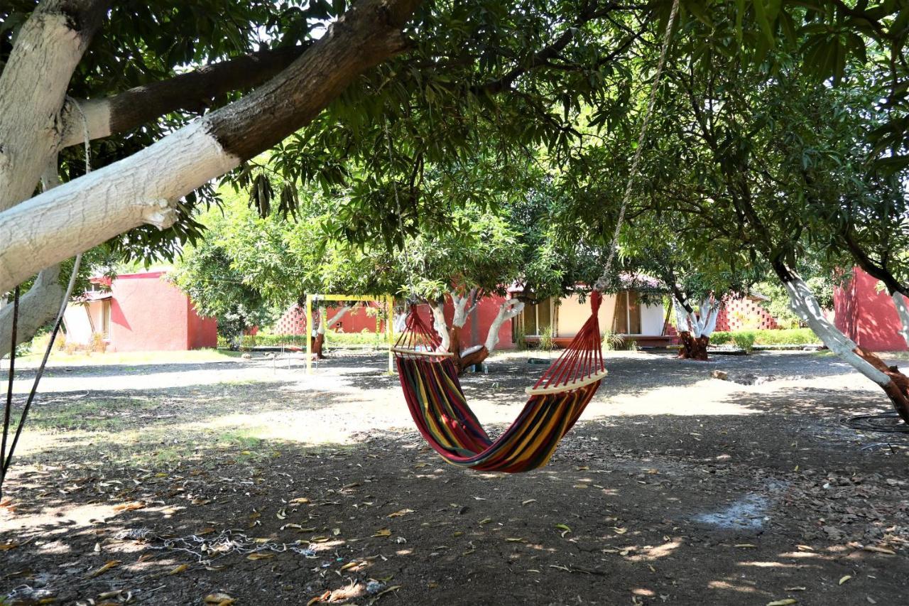 Amraness Luxury Resort Sasan Gir Dış mekan fotoğraf